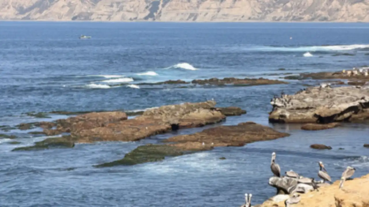 Waves on the rocks and the cliffs of the coast at La Jolla, San Diego, from the trip California Dreamin!!!